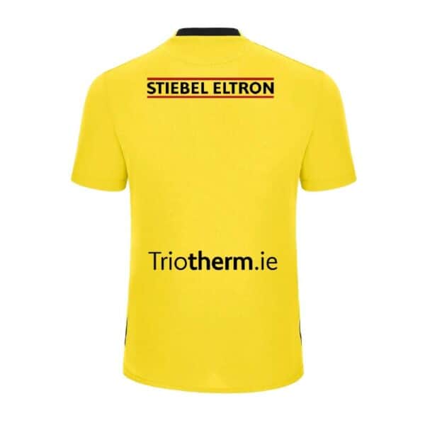 Kerry FC Away Jersey back